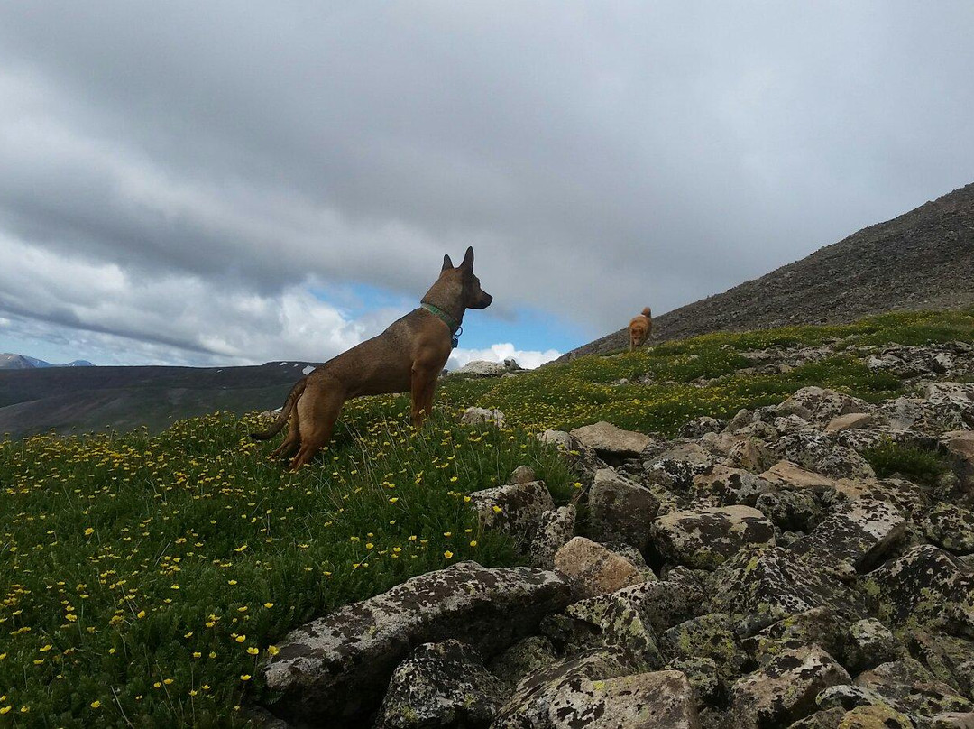Vertical Runner Breckenridge-布雷肯里奇必去景点