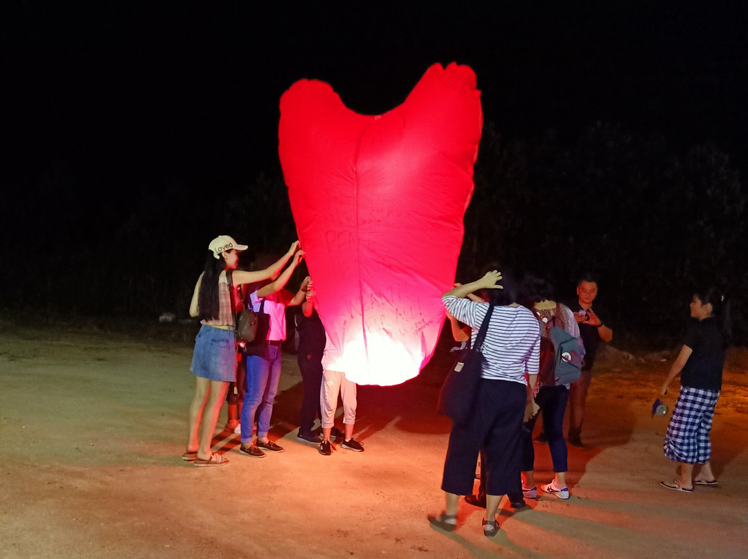 哥打丁宜萤火虫公园-新山必去景点