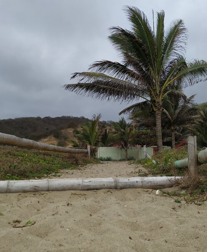 Hosteria Canoa主图