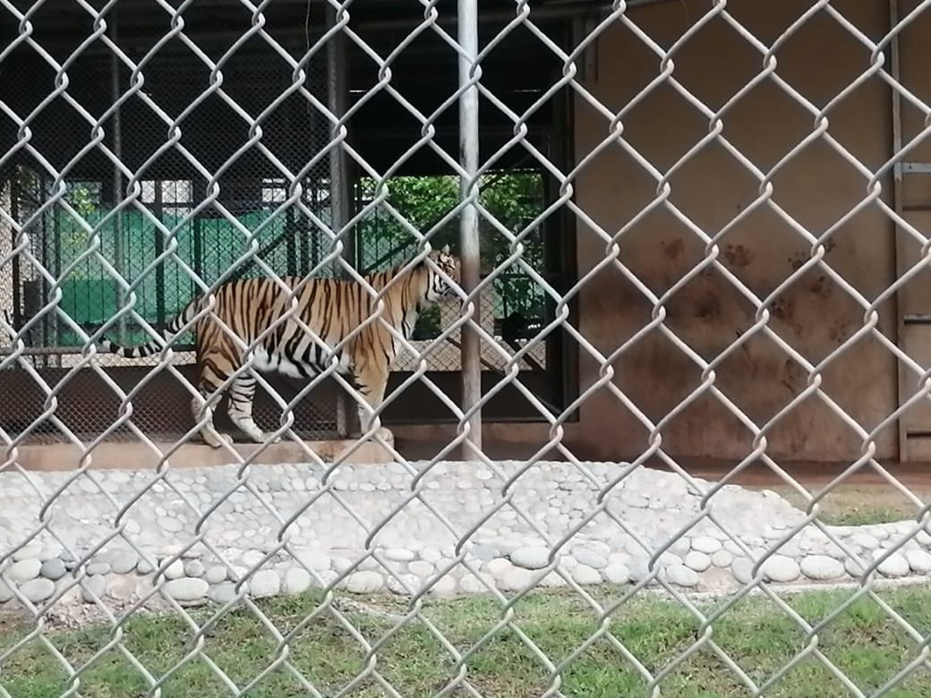Bahria Enclave Zoo景点图片