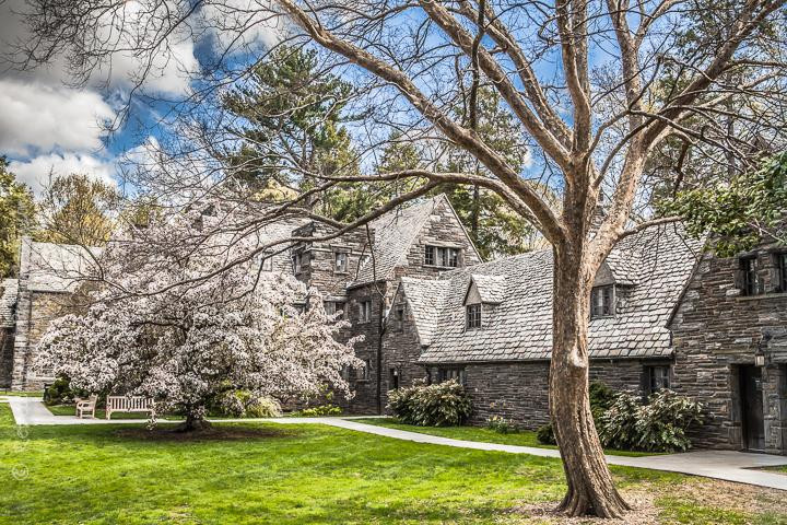 The Scott Arboretum of Swarthmore College景点图片