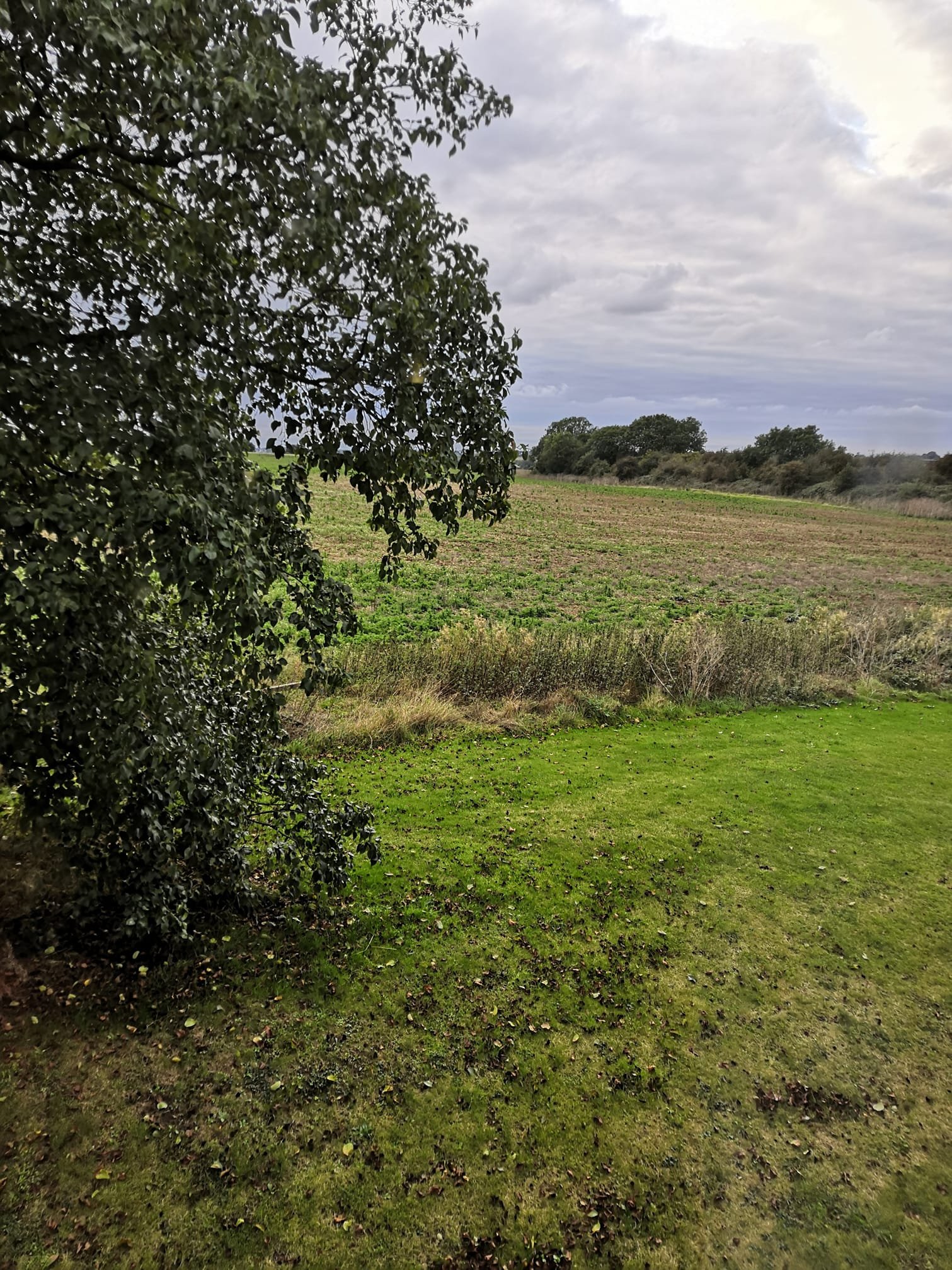 Travelodge Wellingborough Rushden-酒店景观