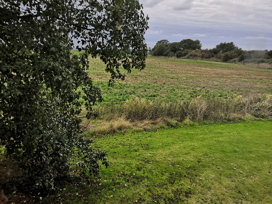 Travelodge Wellingborough Rushden主图