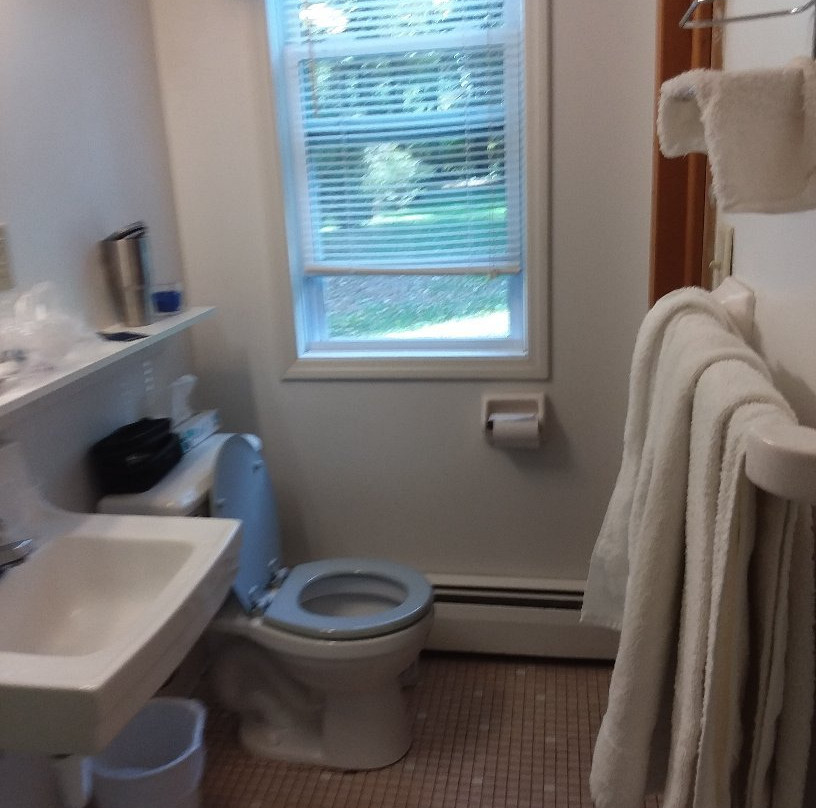 Pinewood Motel主图