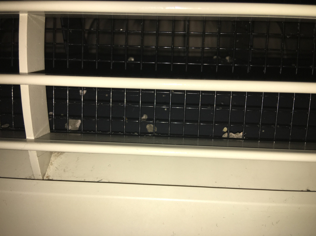 Rodeway Inn Bronx Zoo主图