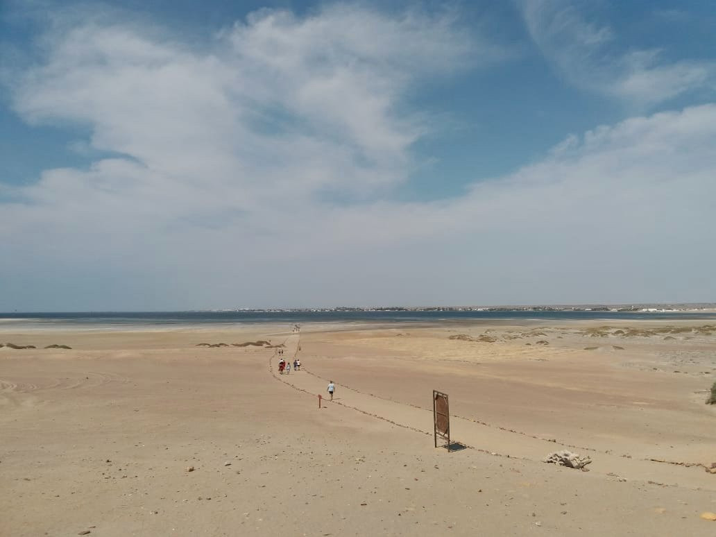 Museo De Sitio Julio C Tello De Paracas