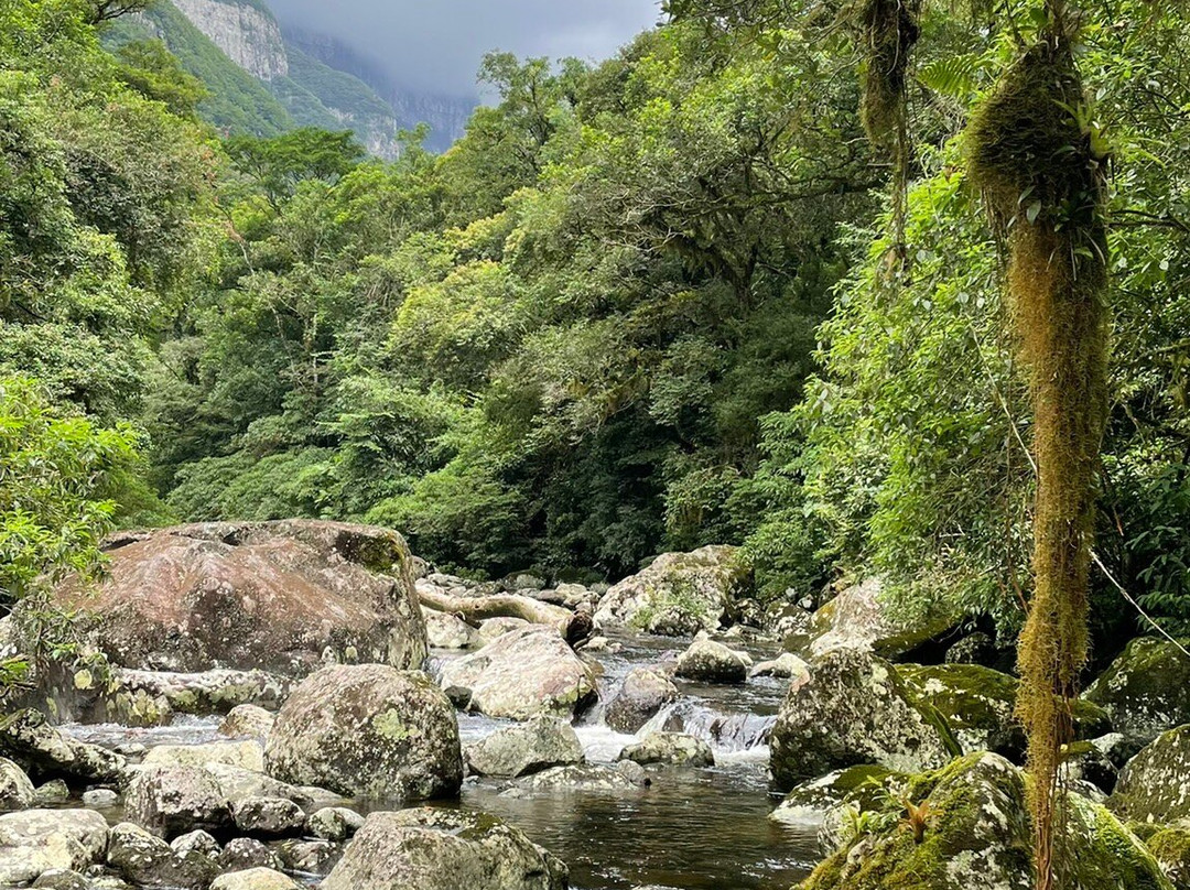 Trilha Do Tigre Preto