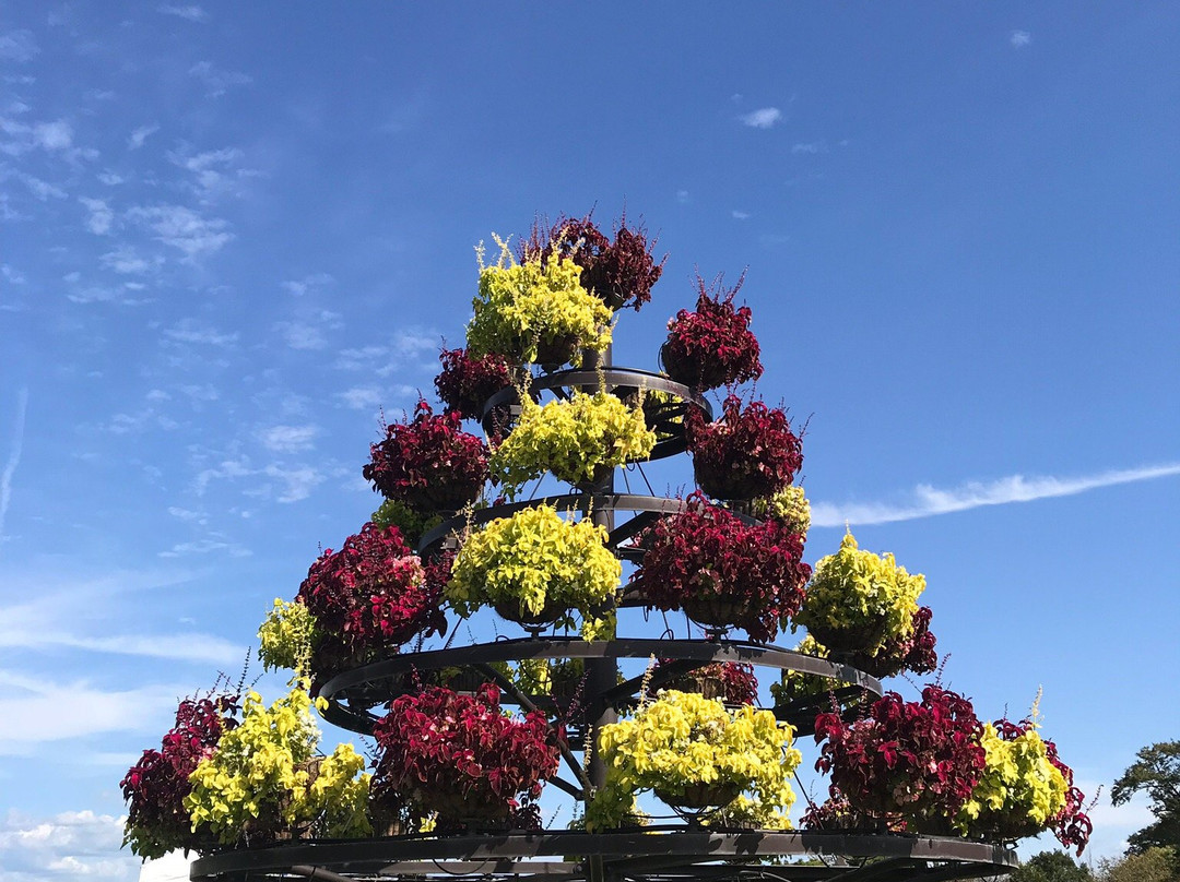 Flower Park Konan (Konan Kaki Engei Park)景点图片
