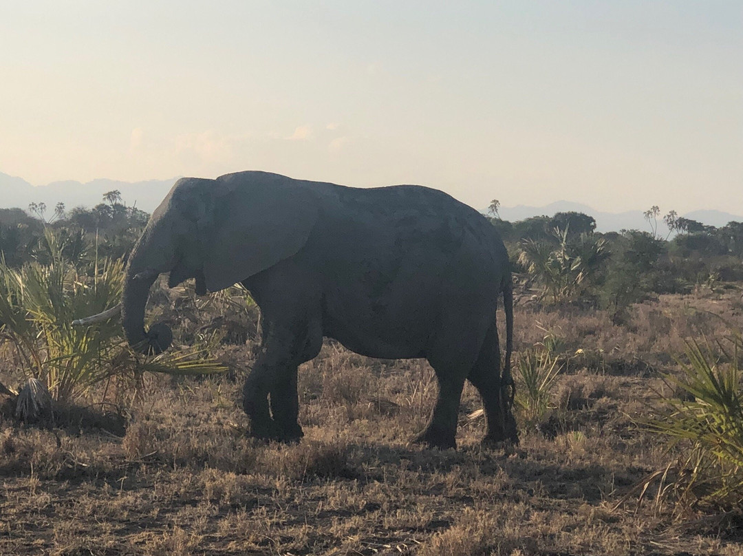 Meru National Park KENYA-Meru National Park必去景点