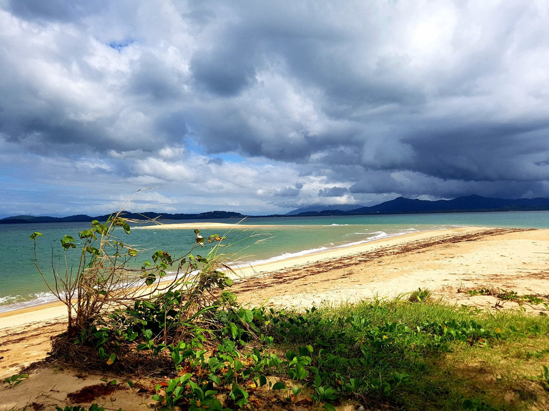 Mission Beach Dunk Island Water Taxi景点图片