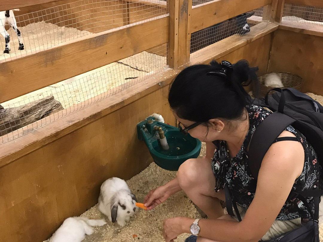 Touching Zoo Makki-Pakki-敖德萨必去景点