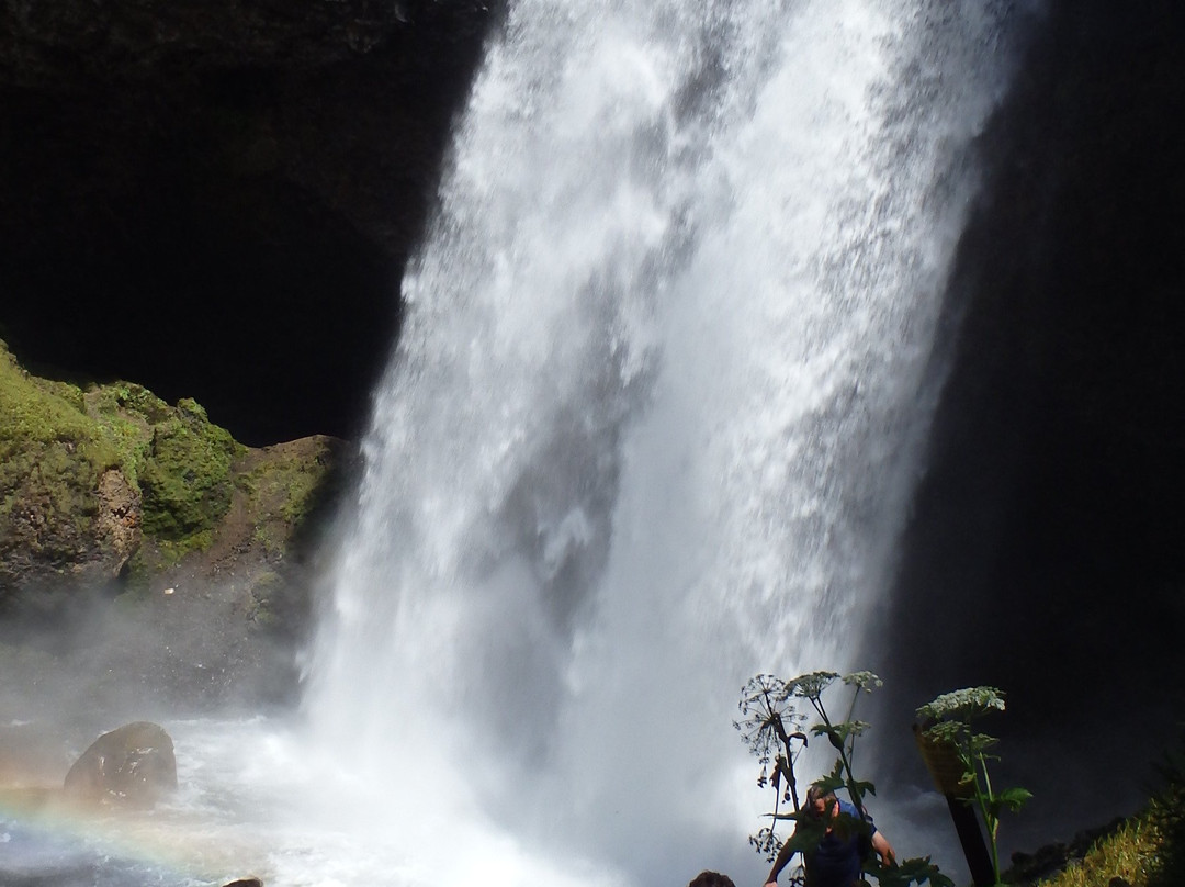 Wells Gray Golf Resort & RV Park主图