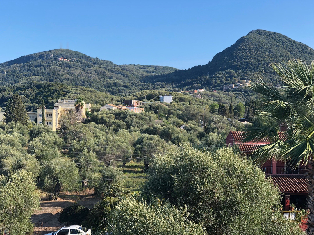 Stefanos Resort主图