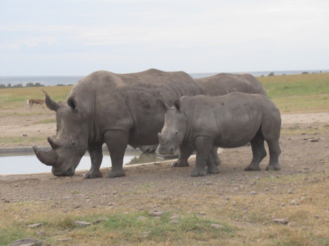 African Trails Expeditions