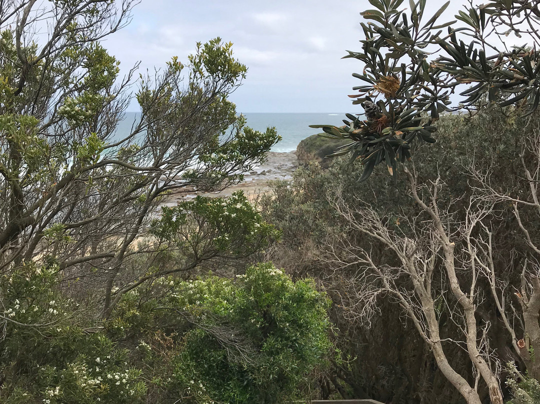 Twin reefs-Inverloch必去景点