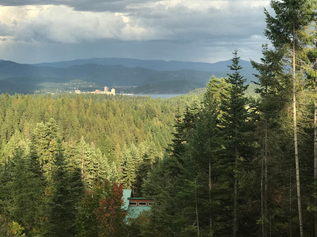 Coeur de Lion B&B主图