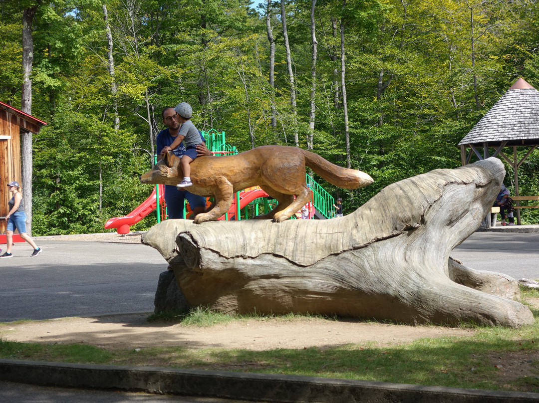 Centre de ski Mont Sainte-Anne-Saint-Ferreol-Les-Neiges必去景点