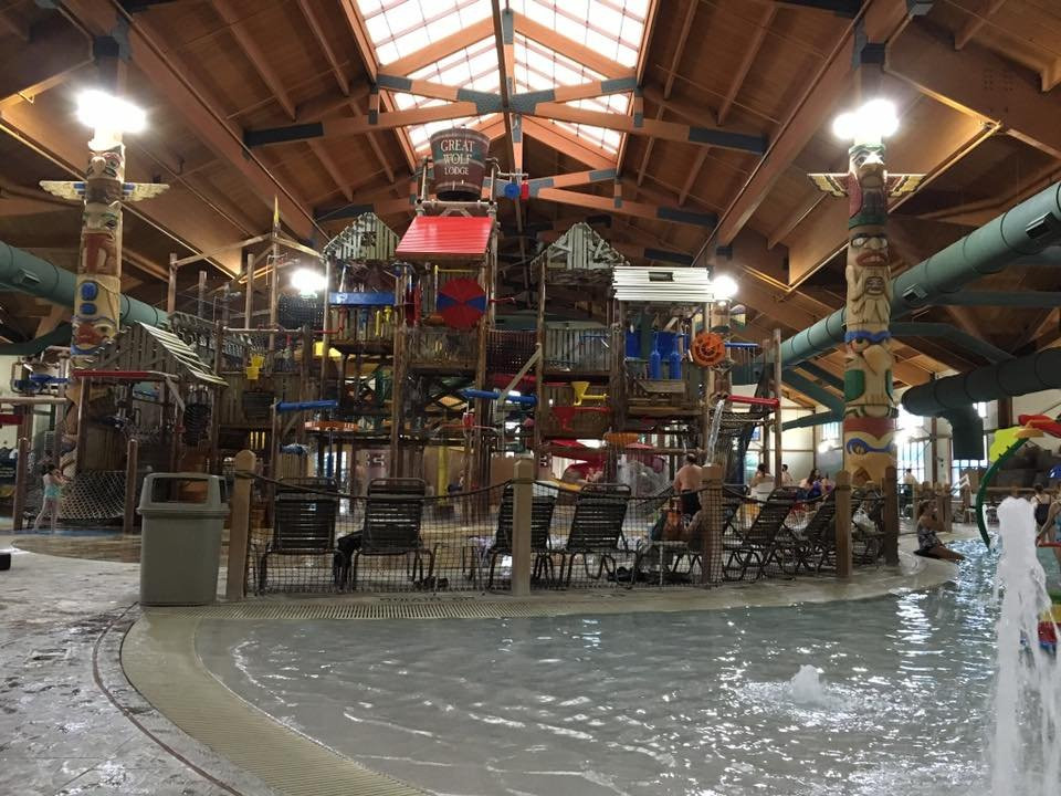 特拉弗斯城大灰狼洛奇酒店主图