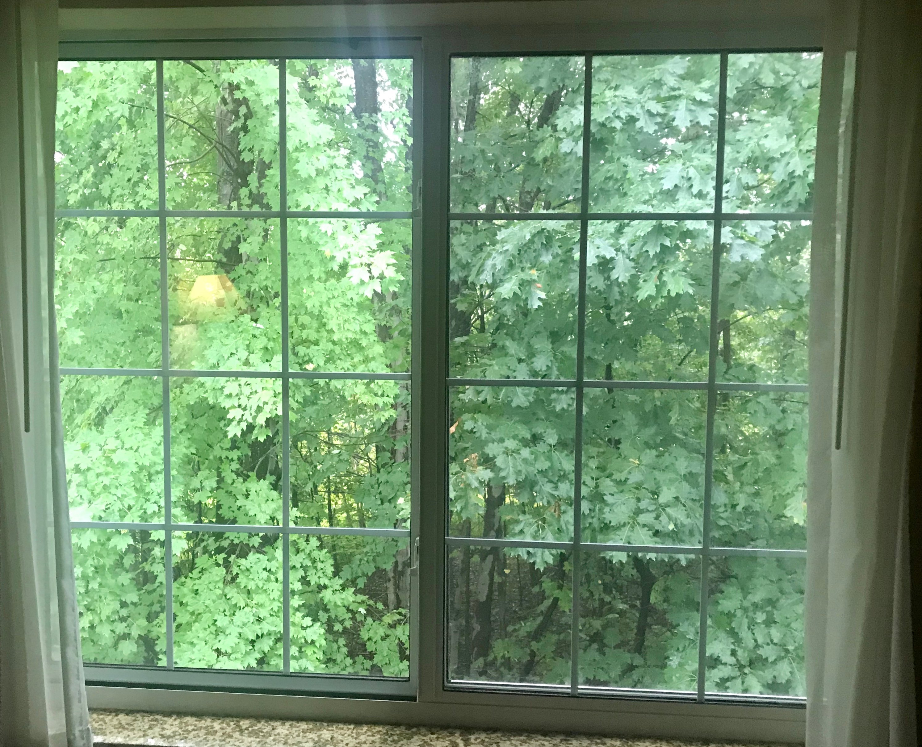 Quality Inn Near Interstate I94-酒店景观
