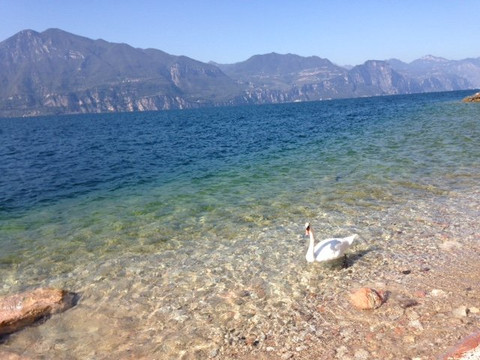 Pai旅游攻略图片