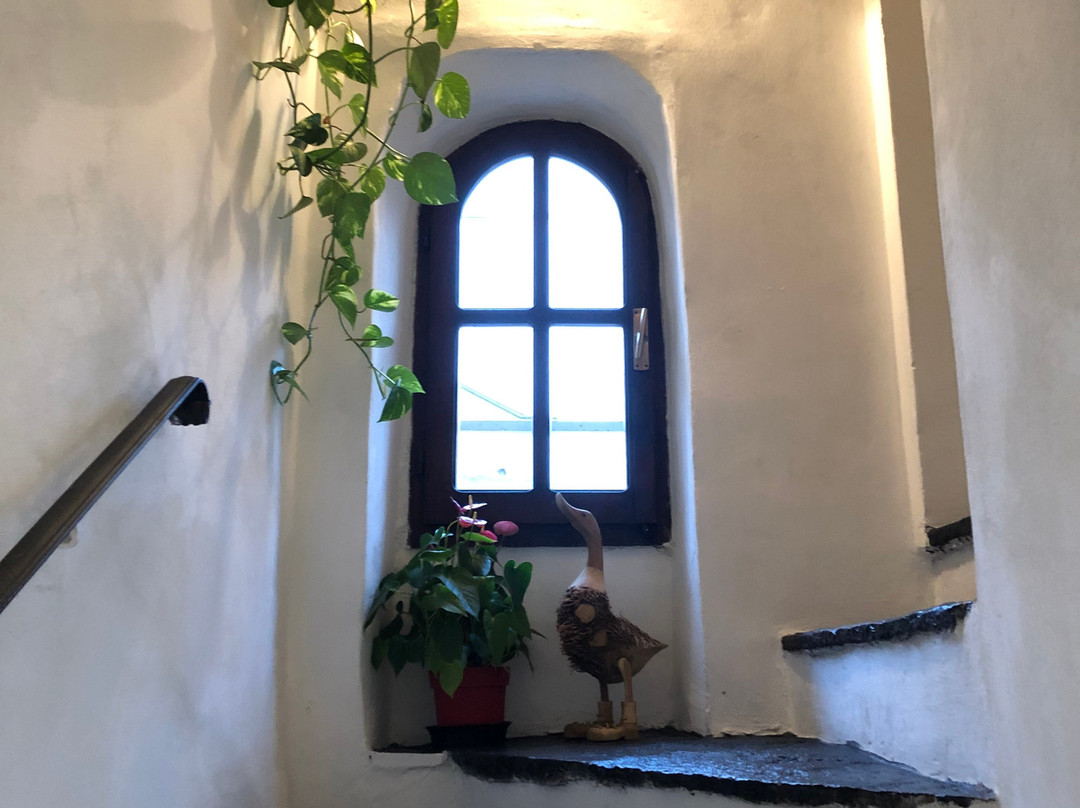 Le Coccinelle Home主图