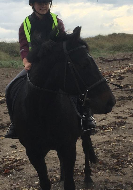 Ayr Equestrian Centre景点图片
