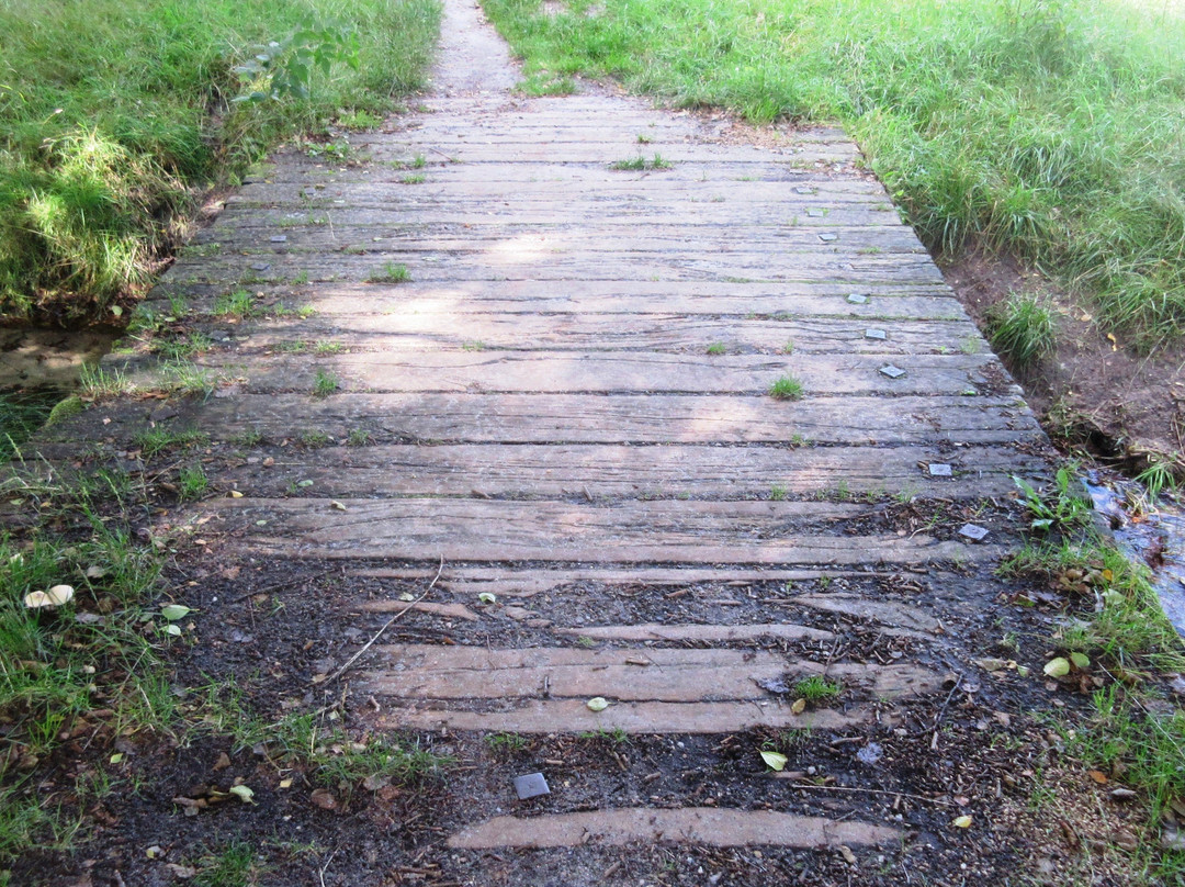 Badebassinerne景点图片