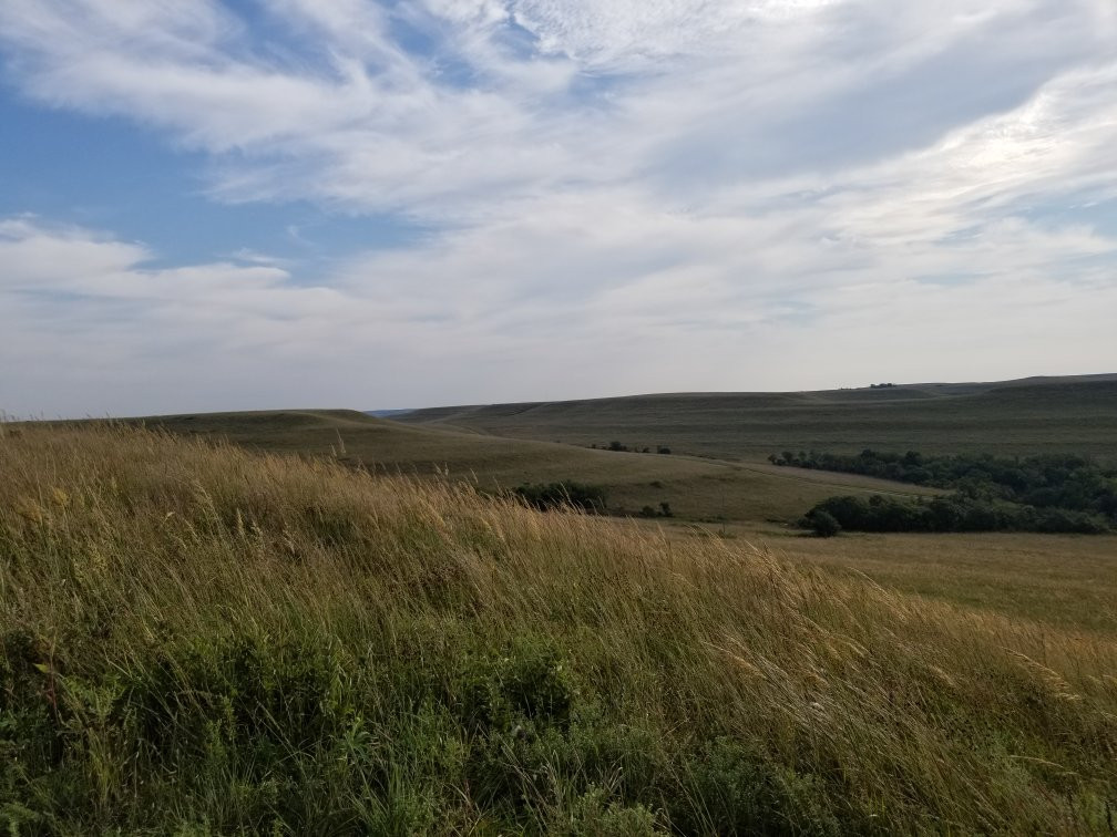 Konza Prairie Research Natural Area景点图片