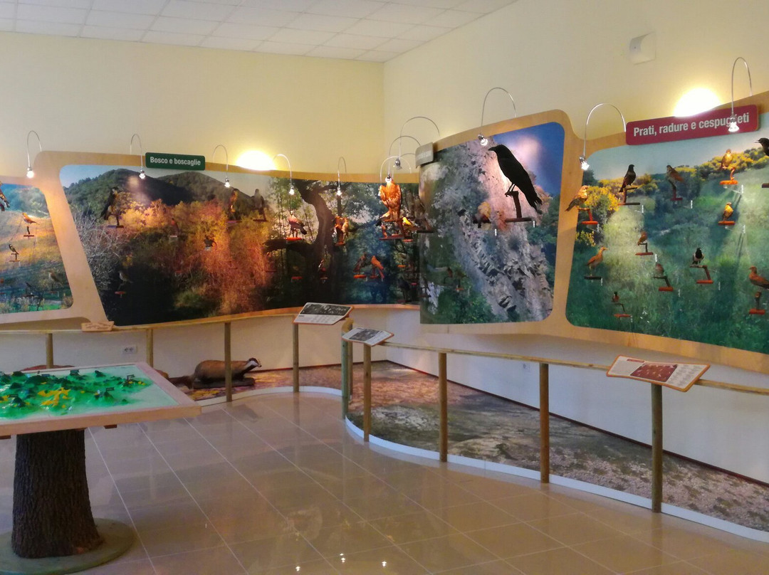 Muce - Museo Dei Colli Euganei景点图片