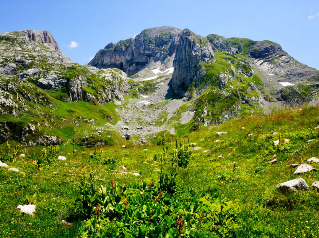 Rosni Peak