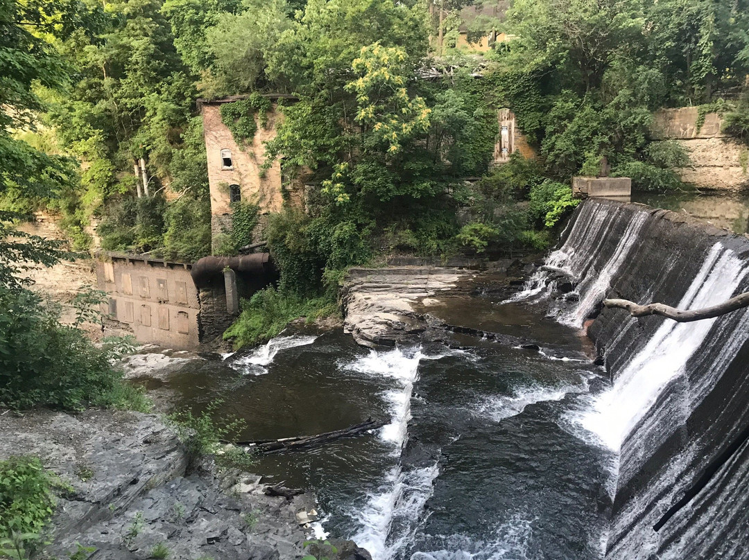 Mulholland Wildflower Preserve-伊萨卡必去景点