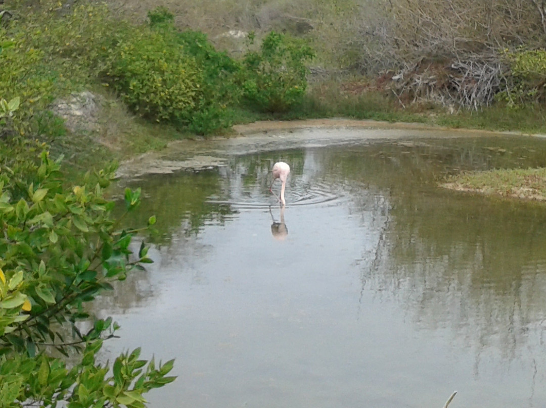 Pozas verde-维里亚米尔港必去景点
