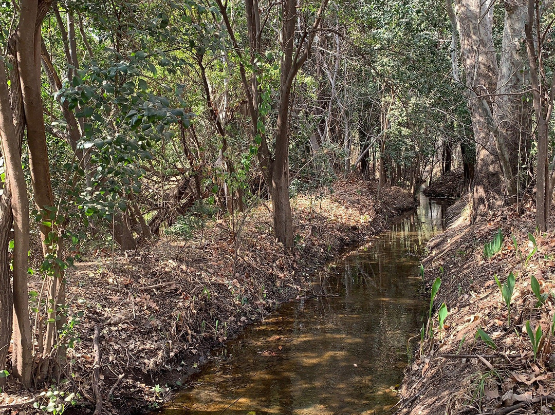 Toadbury Hall Country Hotel主图