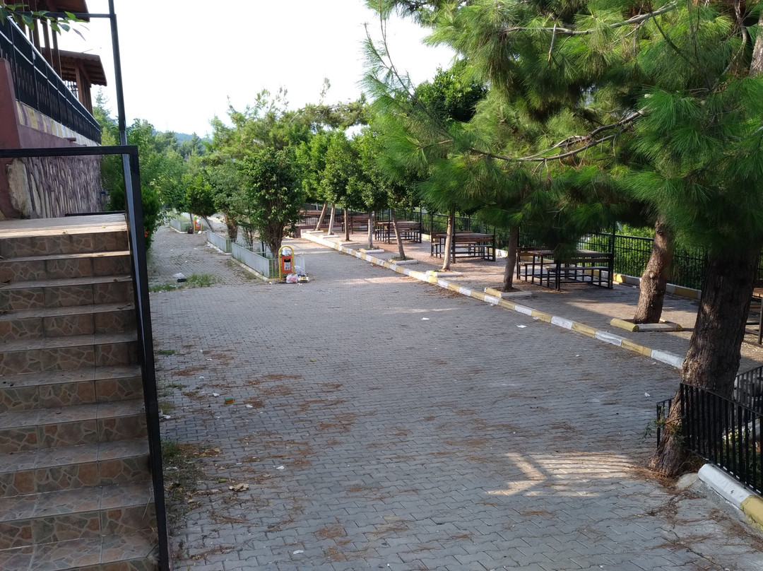 Sariseki Kanyon Park景点图片