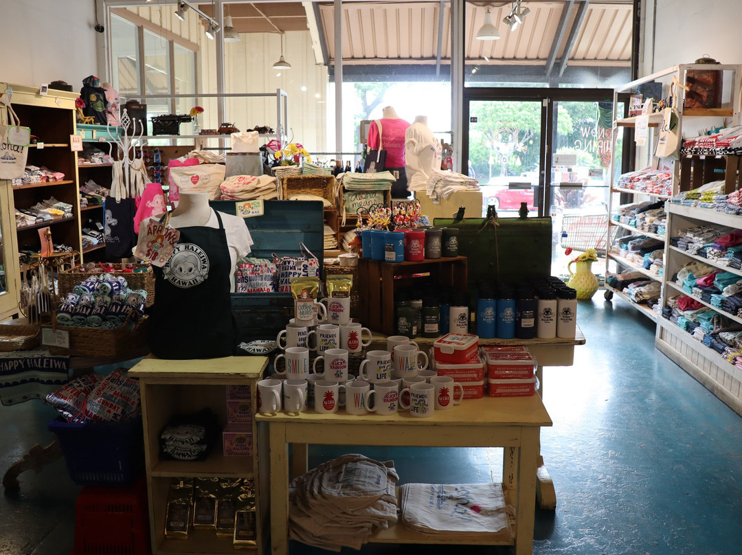 Happy Haleiwa-哈雷瓦必去景点