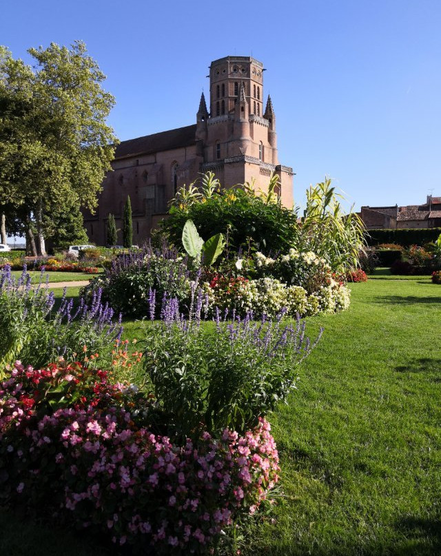 Cathédrale Saint-Alain景点图片