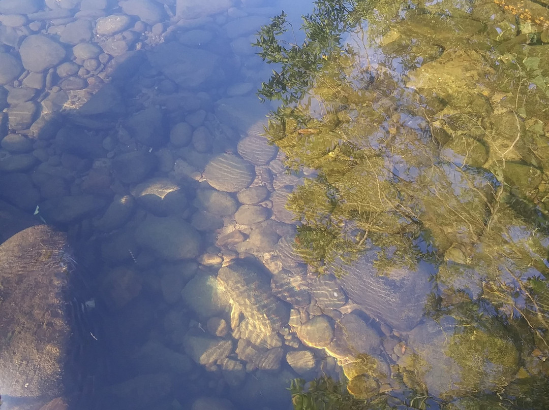 Sonoma Falls-Livingston Manor必去景点