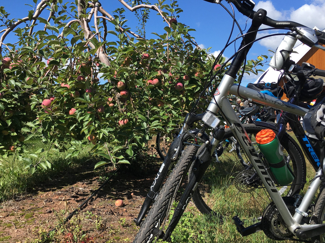 Le Velo Vert-李维斯必去景点