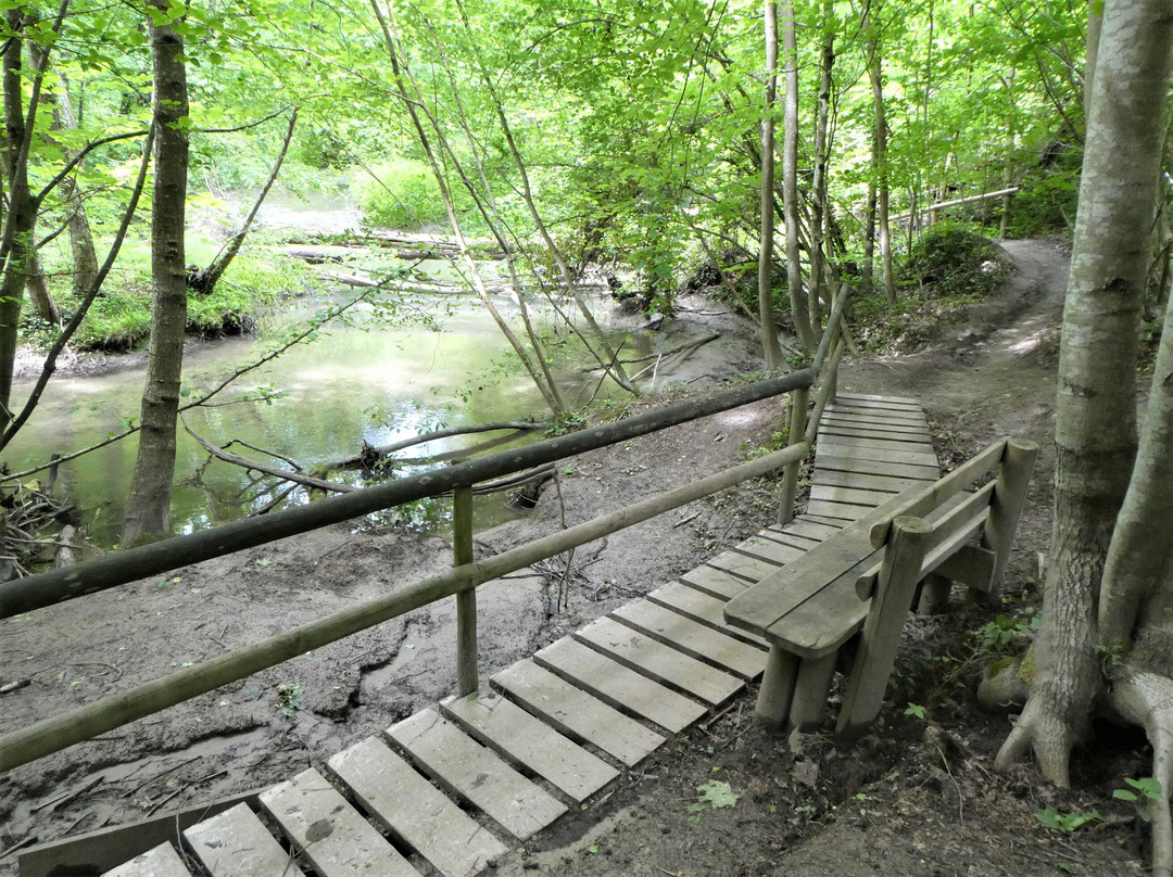 Sentier De La Truite