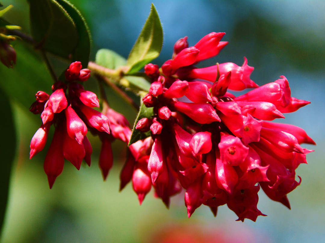 Traveler's Rest Hotel主图