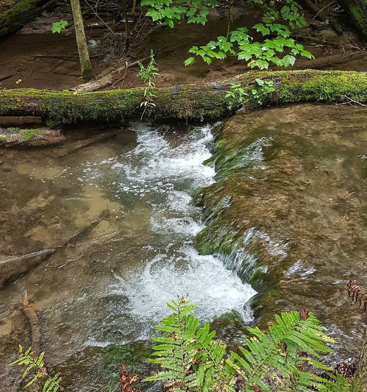 Weavers Creek Falls景点图片