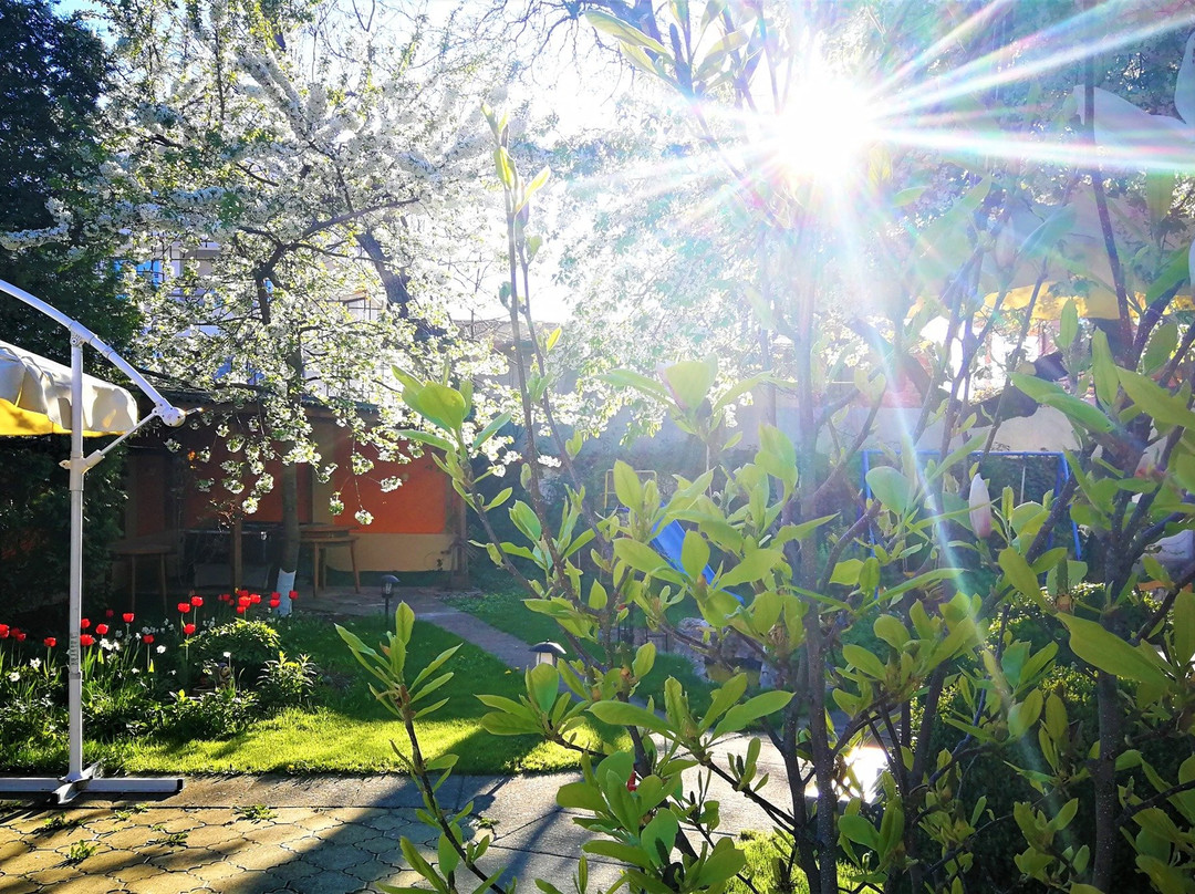 Family Hotel Sonata主图