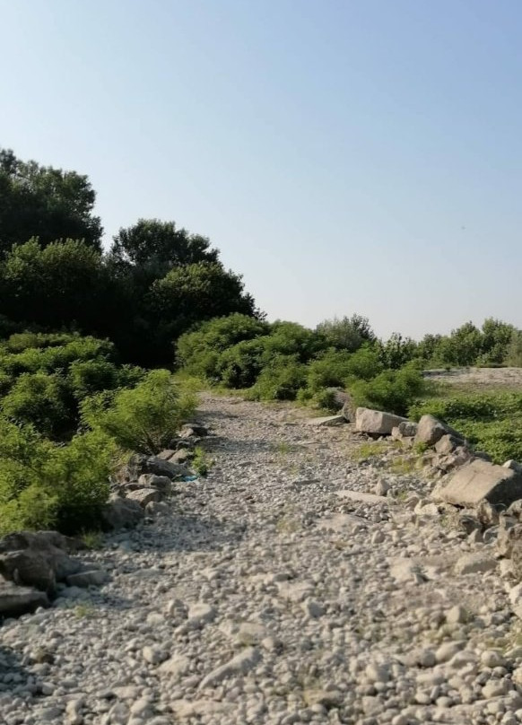 Riserva Naturale Isola Boschina景点图片