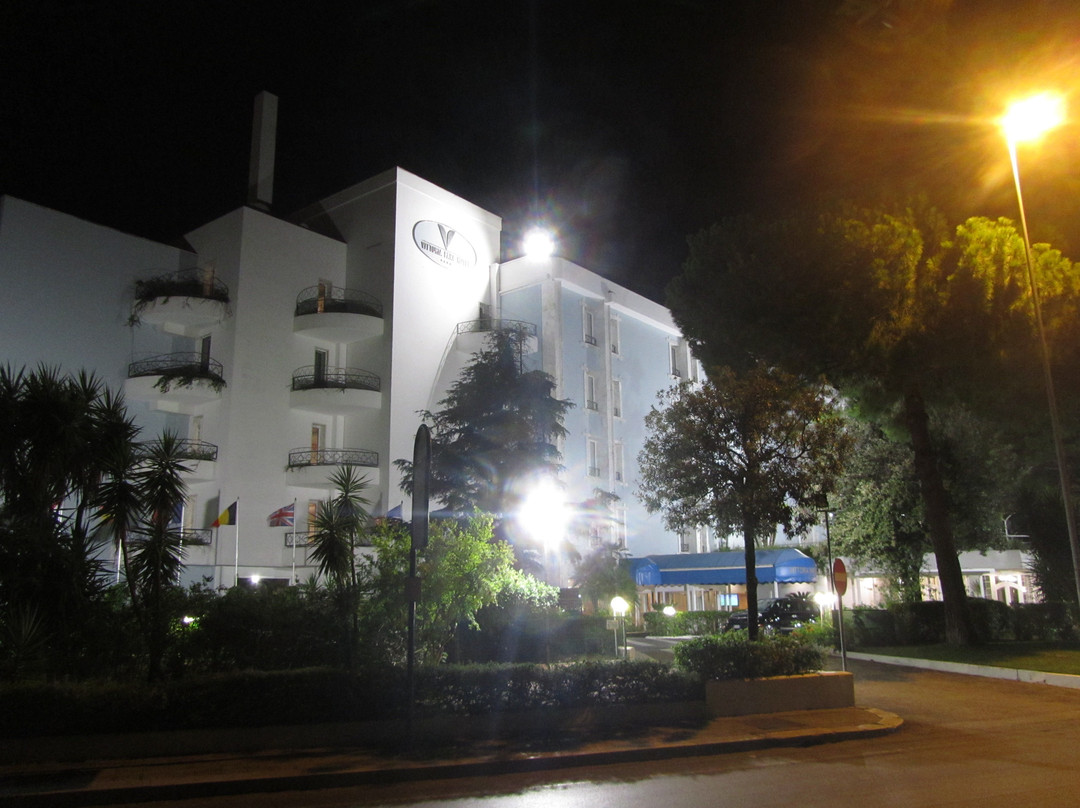 Vittoria Parc Hotel主图