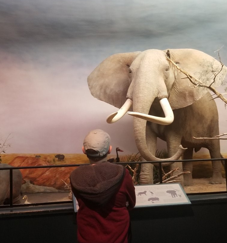 Museum of York County景点图片