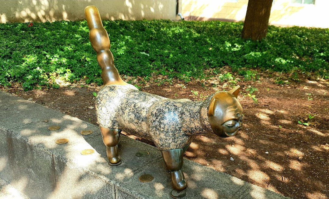 Sculpture Cat Klaipedis-克莱佩达必去景点