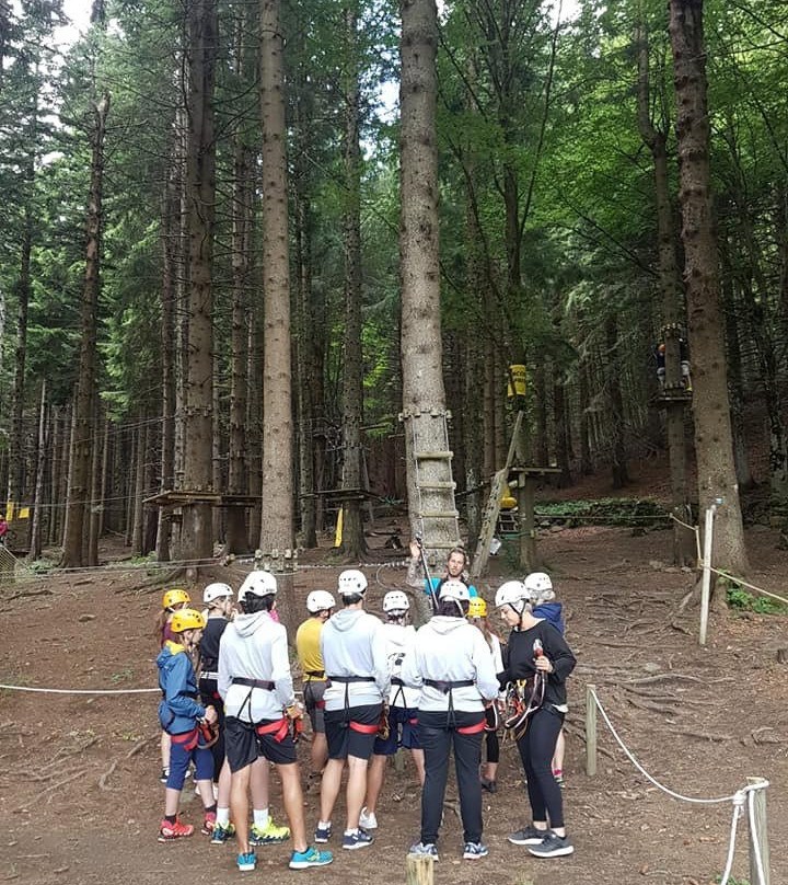 Adventure Park Cimone景点图片