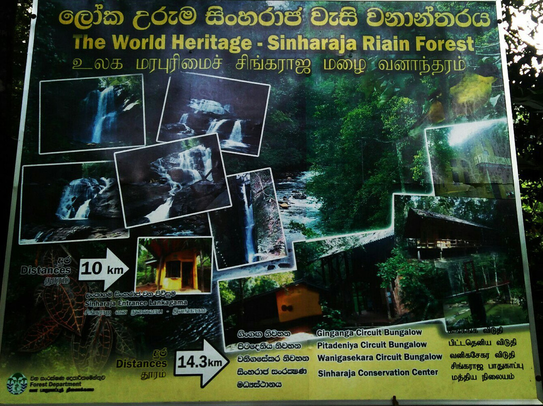 Tropical Rain Forest Sinharaja-Neluwa必去景点