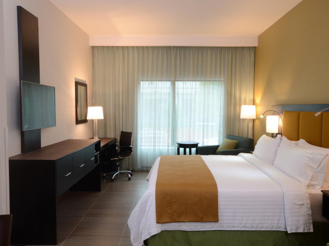 Holiday Inn Tampico Altamira by IHG主图