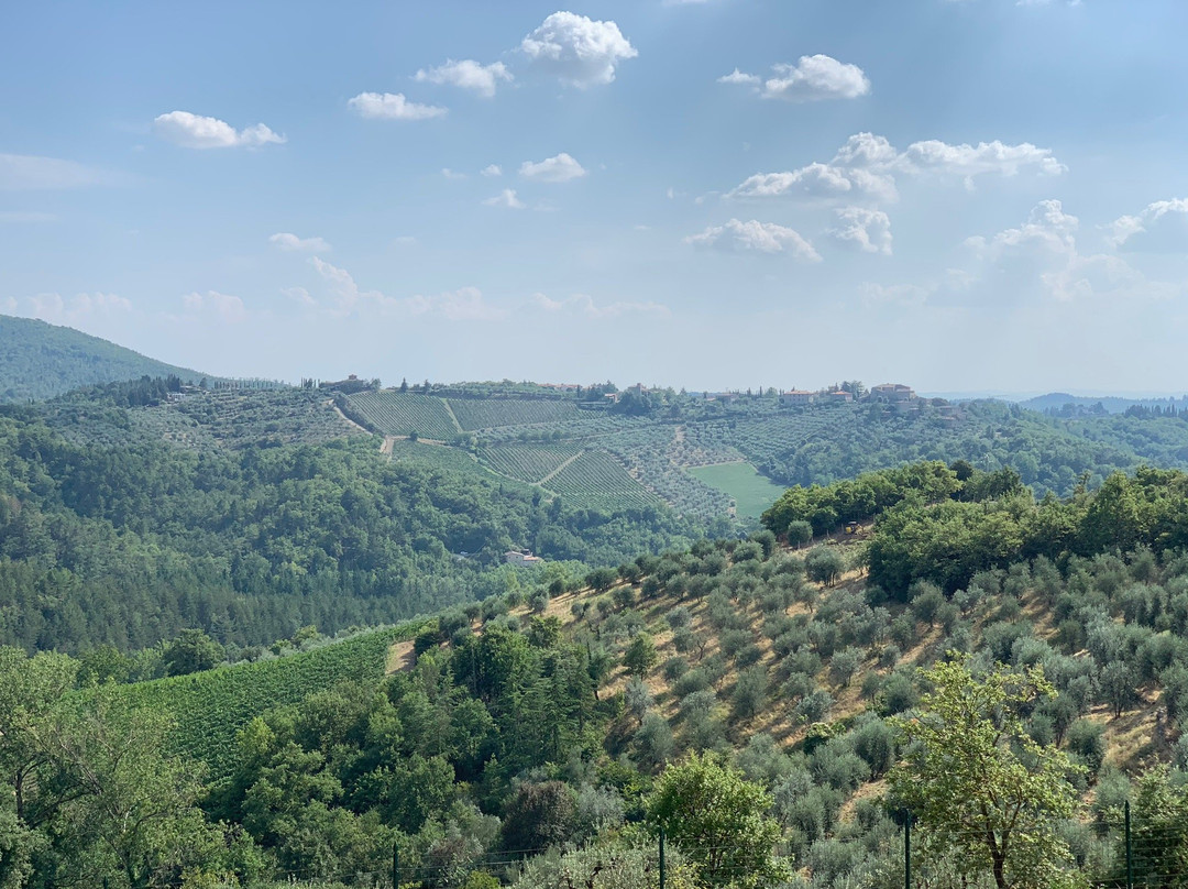 La Casa di Bricciano - Azienda Agricola Biologica - Organic winery景点图片